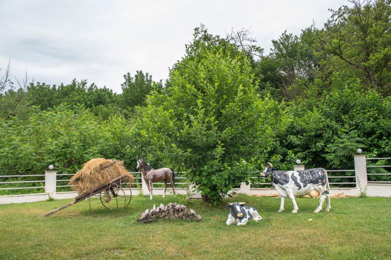 Chukhur Gabala Museum Hotel Eksteriør bilde